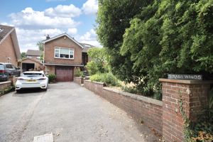 Driveway- click for photo gallery